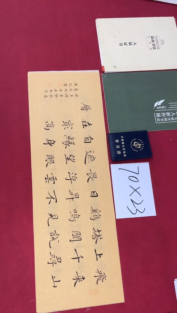 书法中书马亮老师书法作品