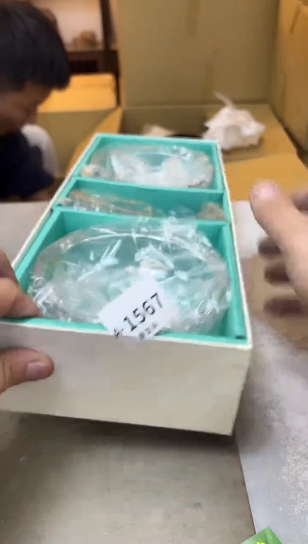 瓷片1567聚宝缘海陶精选