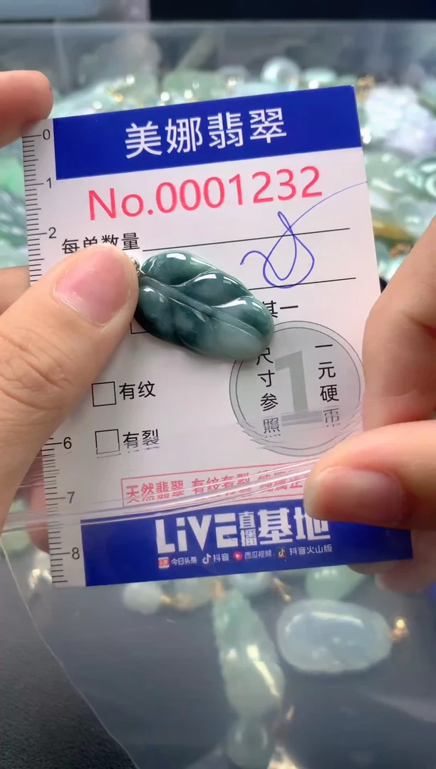 颈饰未镶嵌翡翠1232