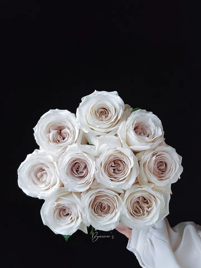 两单包邮！单头【银色籿裙】玫瑰