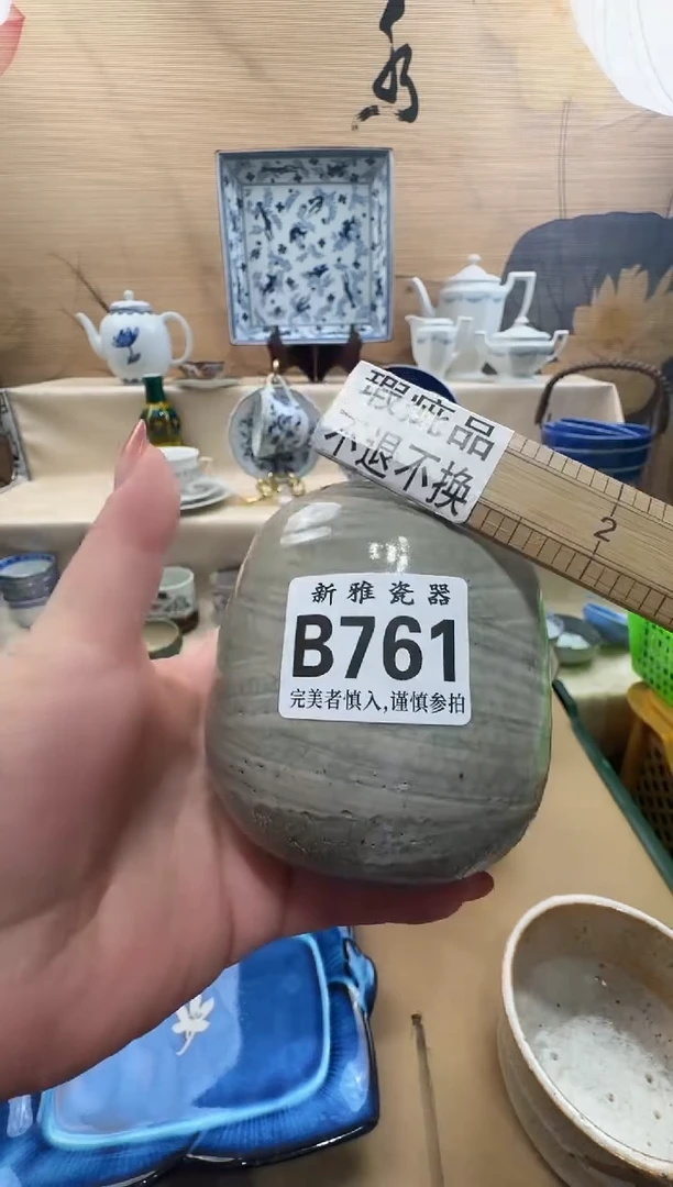 瓷片黑*羽           B761