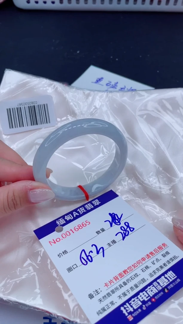 未镶嵌手镯翡翠288