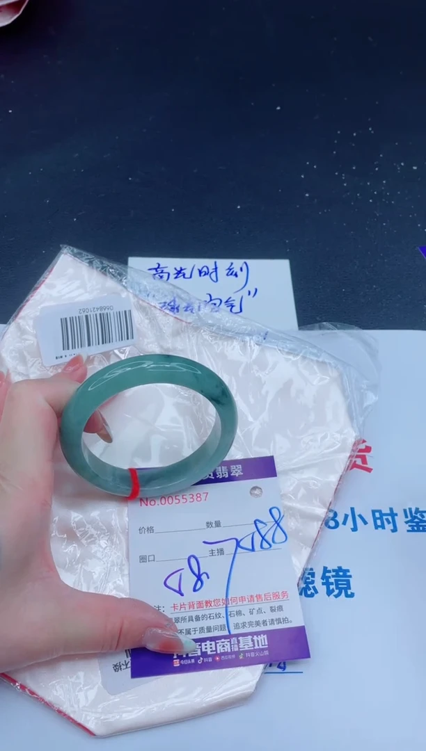 未镶嵌手镯翡翠1