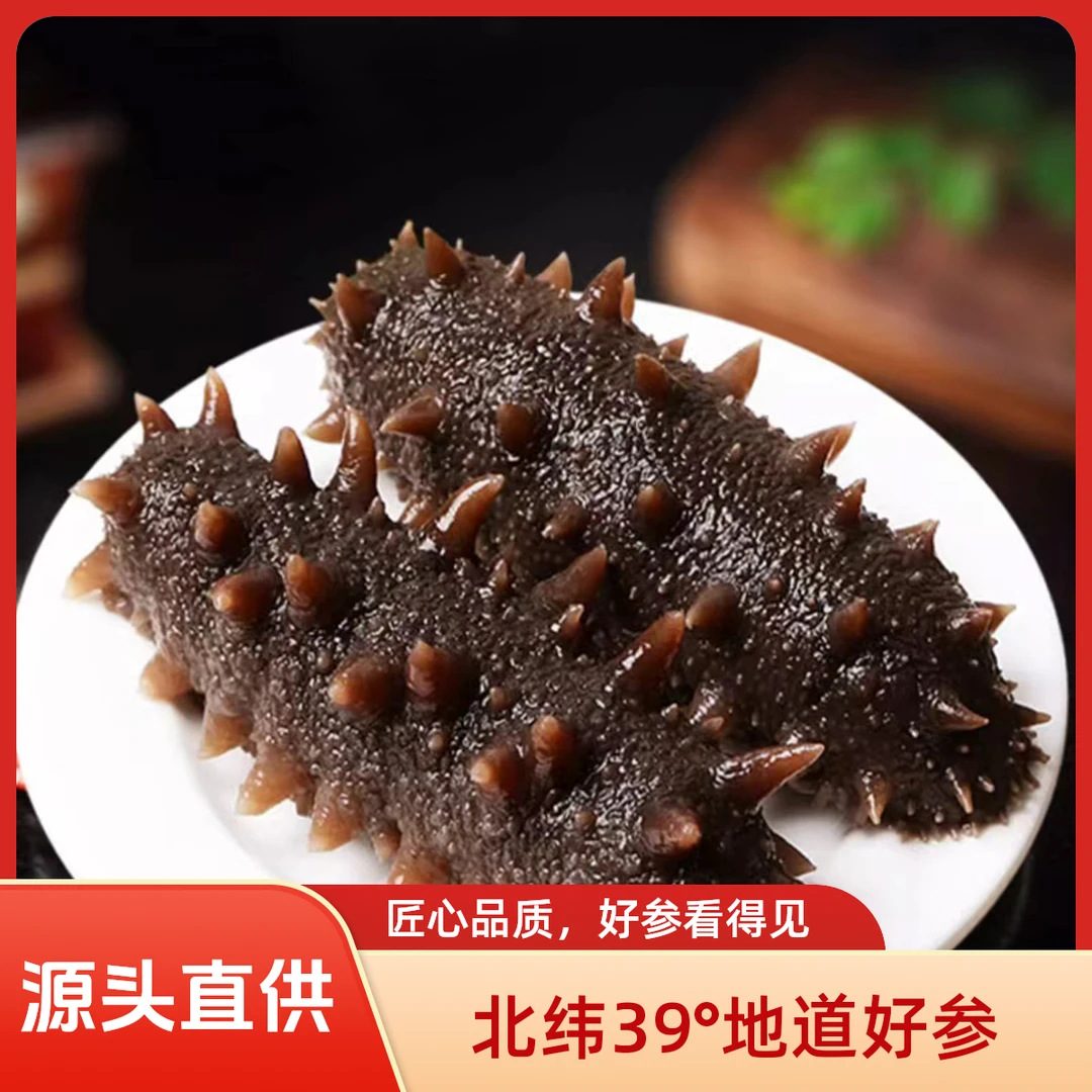 【大连海参】北纬39°海域大连即食海参参壁厚实12-16个头两斤装