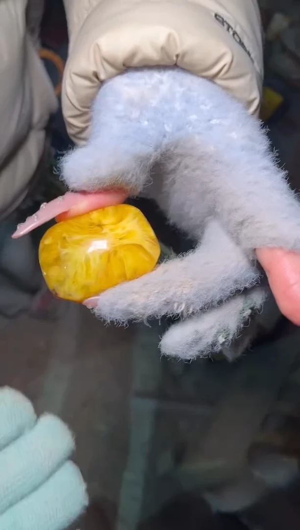 【闪购商品】蜜蜡颈饰未镶嵌雅琪精品专属链接A30