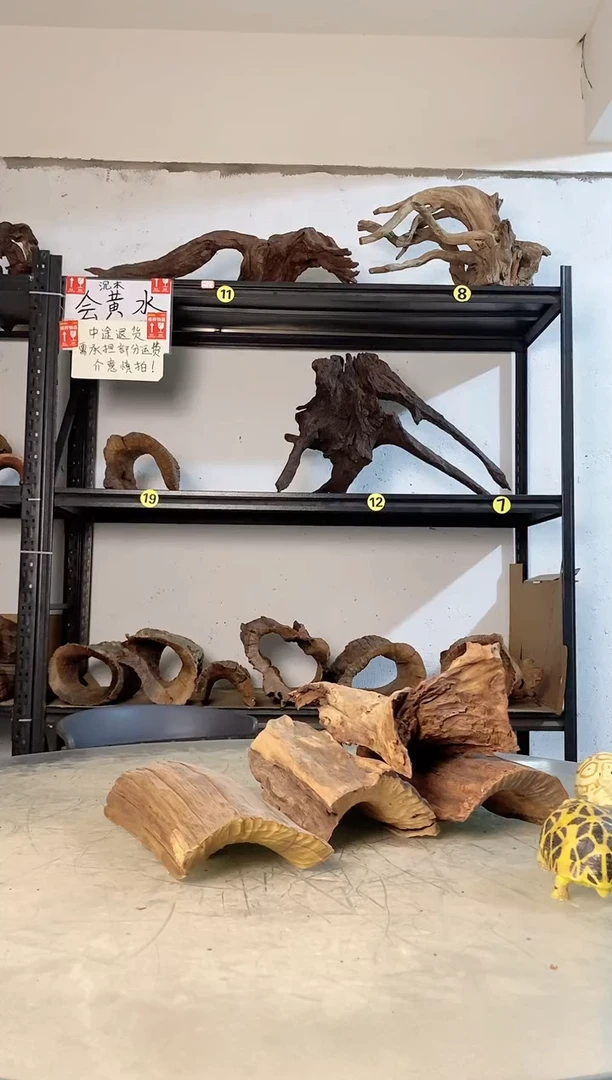 老*鱼缸爬宠造景素材864