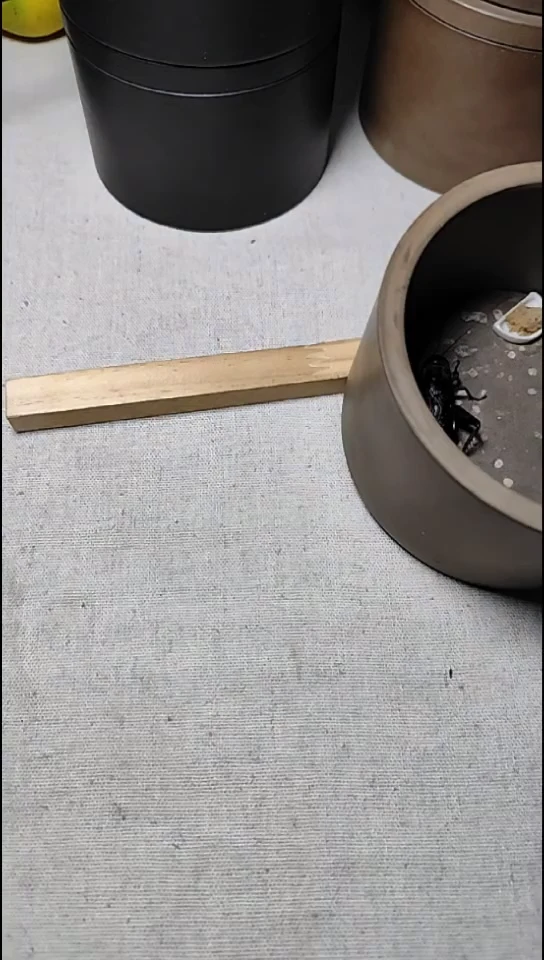 逸*尘2条黑虫 128