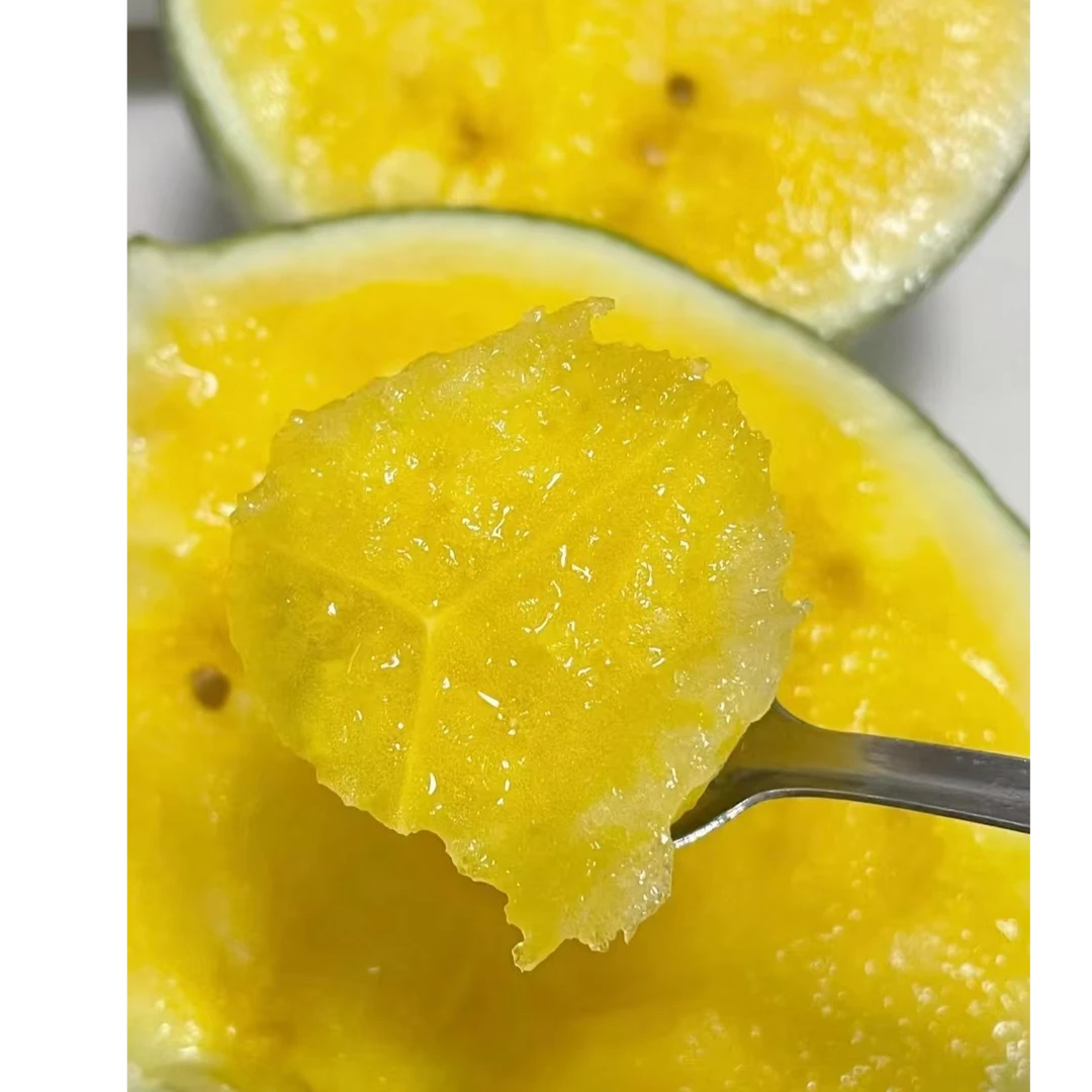 【济宁可拍-大董】龙牌特小凤西瓜 6个/箱（毛重17斤左右）西瓜同城配