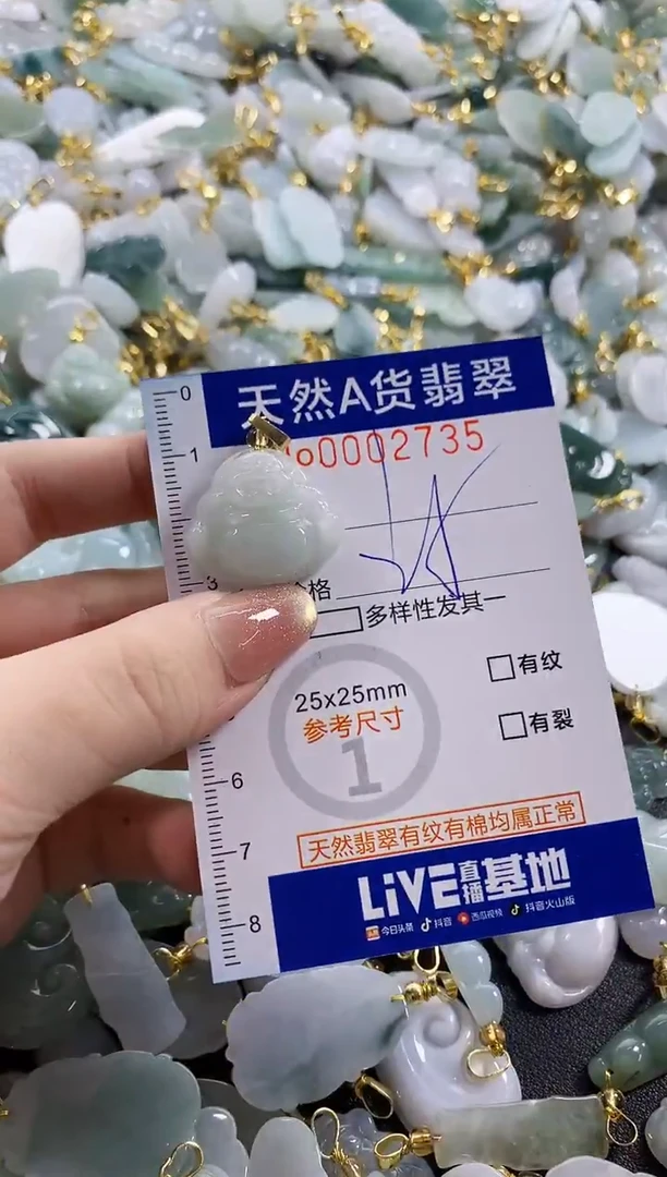 颈饰未镶嵌翡翠天然A货翡翠