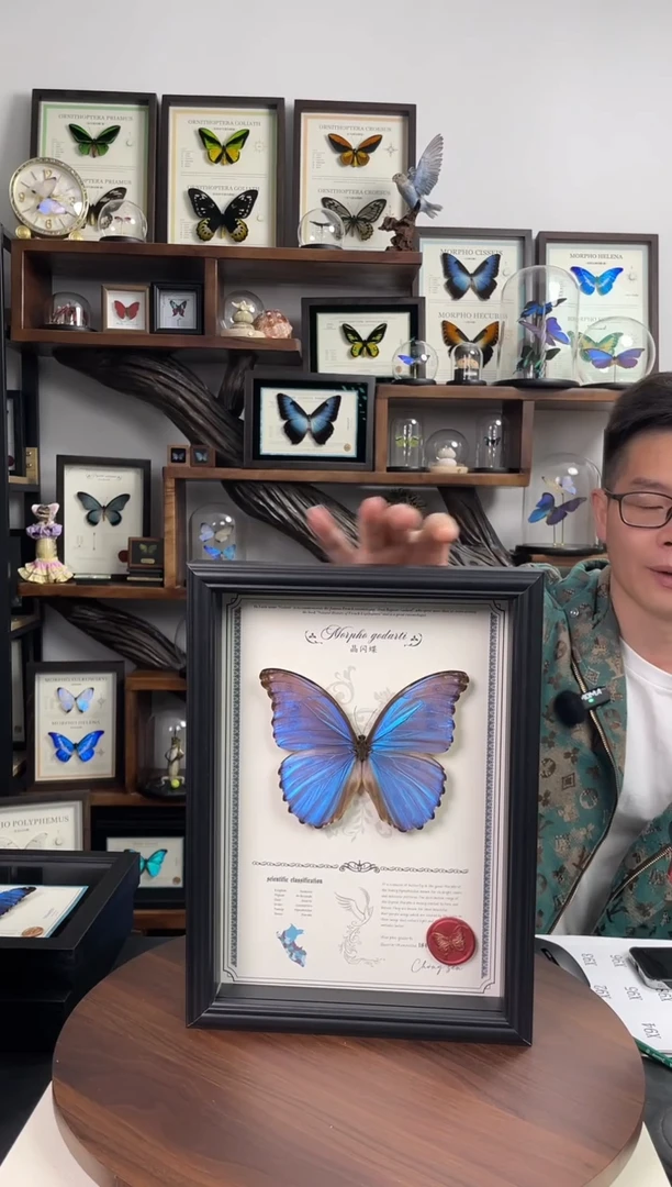 晶闪蝶-豪华版【A4欧式框】