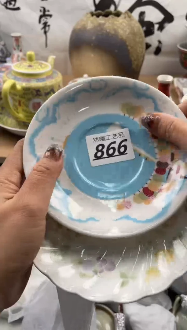 【闪购商品】瓷片866