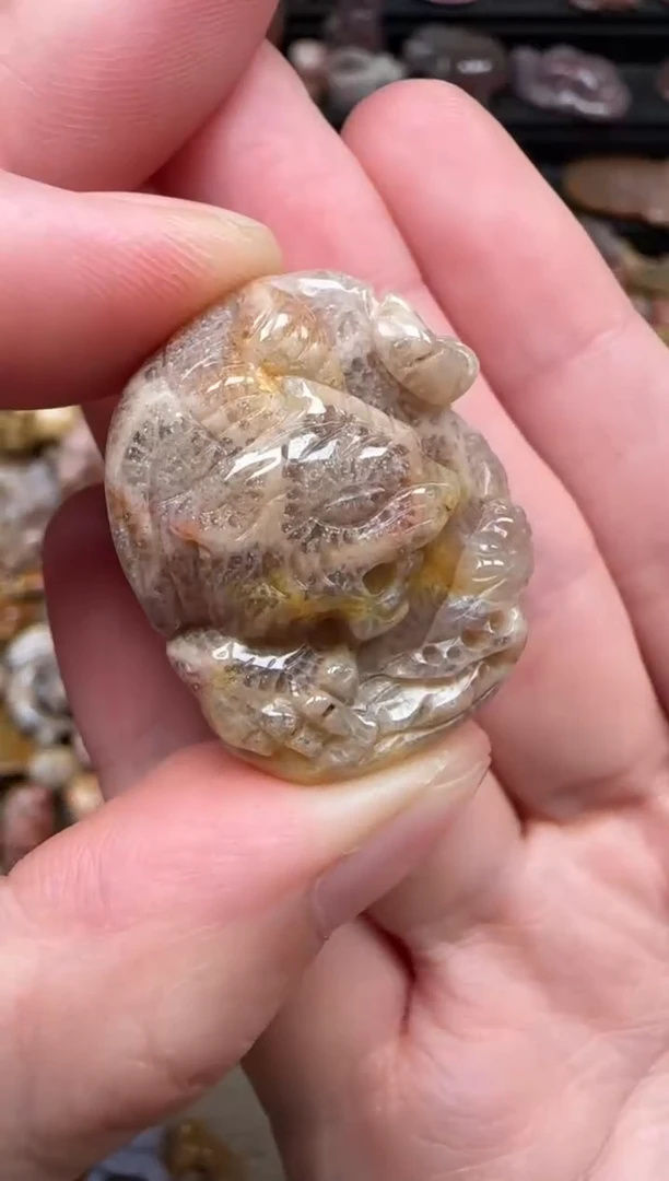 颈饰未镶嵌硅化珊瑚（珊瑚玉）146