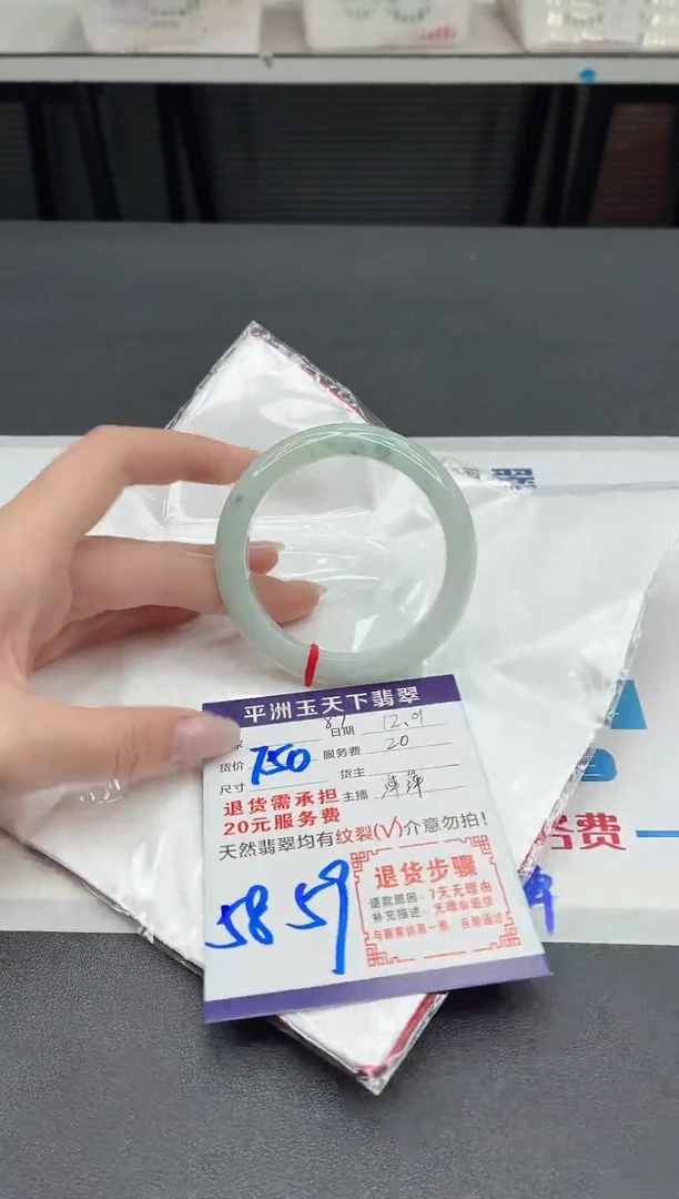 未镶嵌手镯翡翠111
