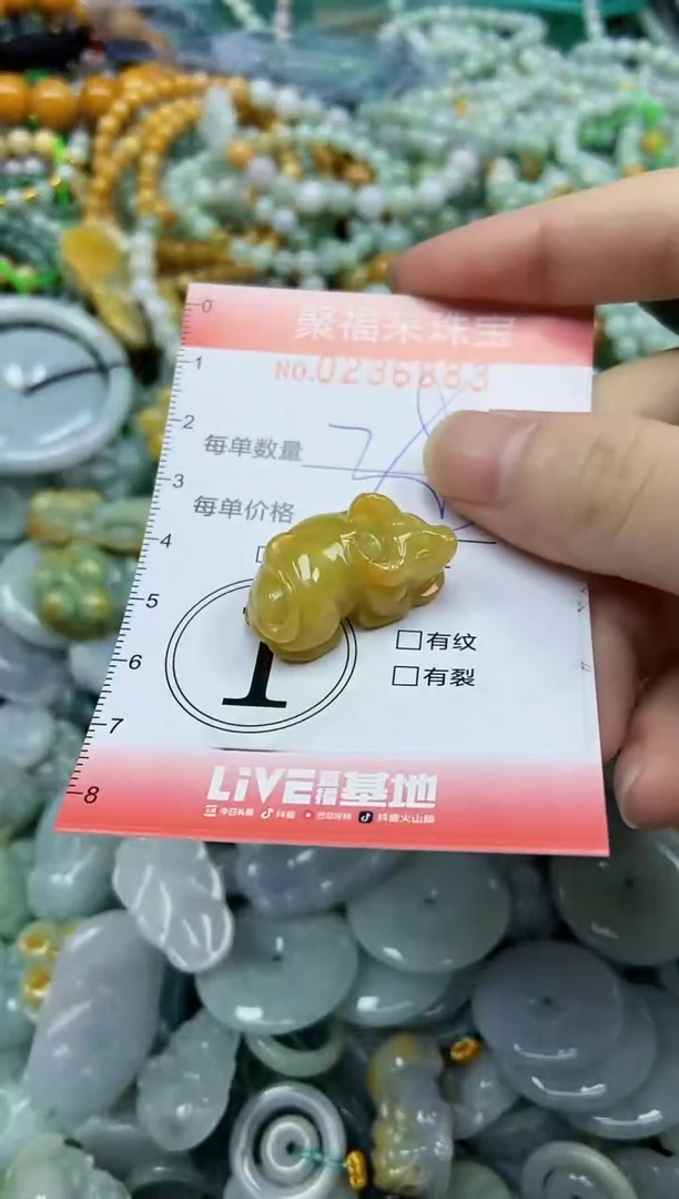 未镶嵌挂件翡翠闪购0236883