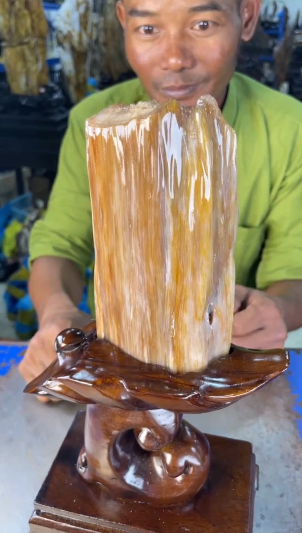 未镶嵌摆件硅化玉8