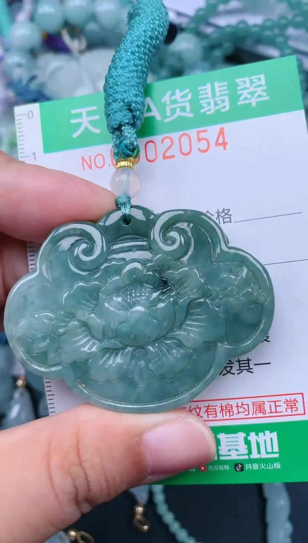 翡翠未镶嵌颈饰.0002054