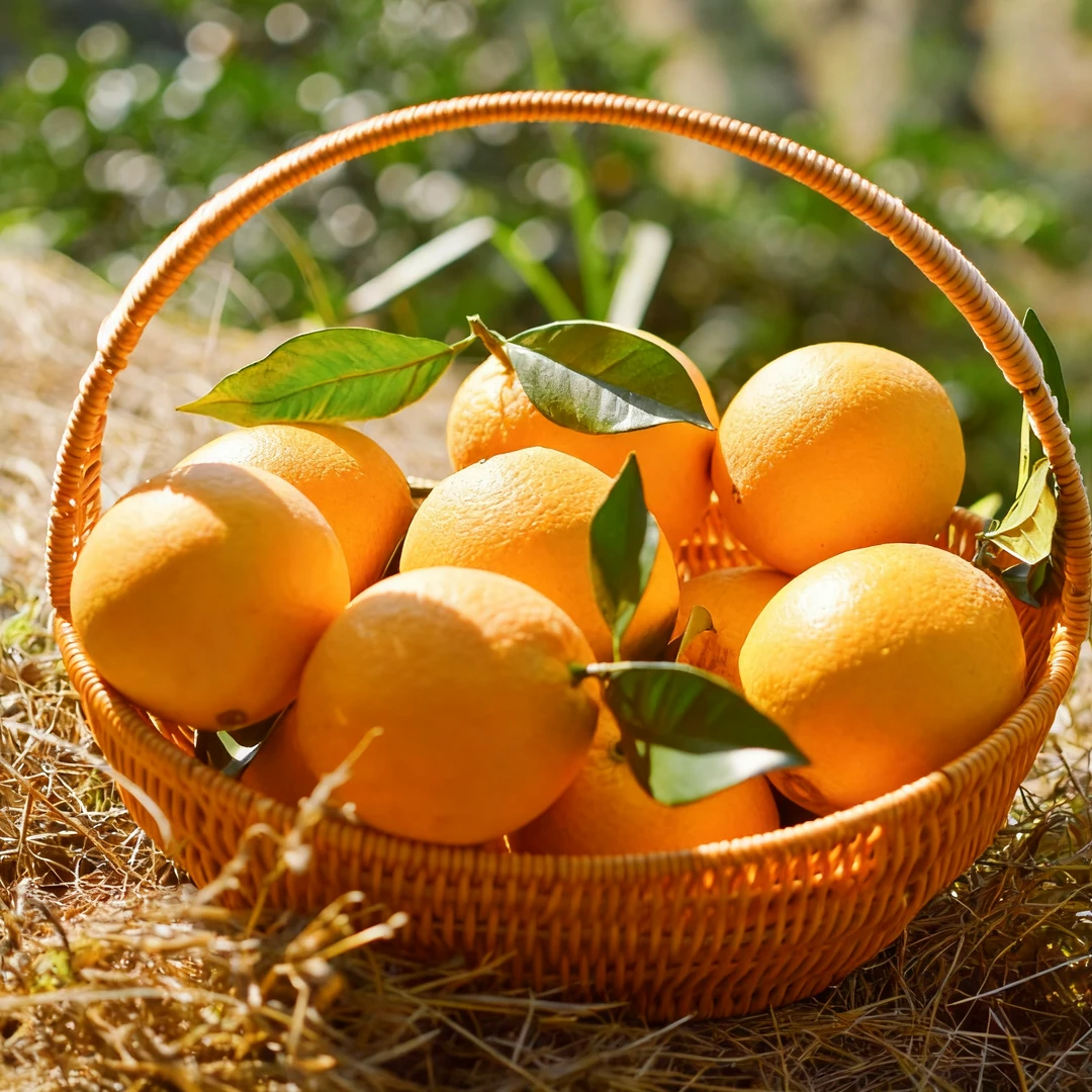 正宗江西赣南脐橙新鲜橙子10斤小果当季水果孕妇甜橙京东包邮直发