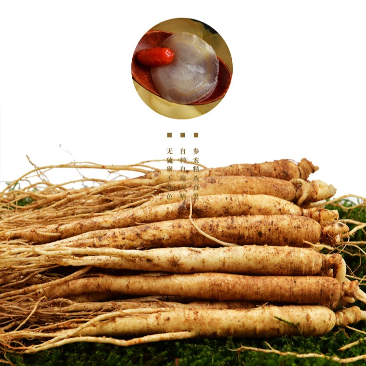 10支长白山鲜人参