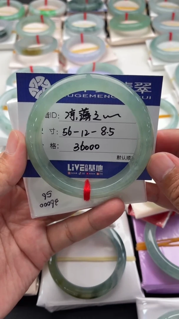 未镶嵌手镯翡翠至***你48小时鉴赏期