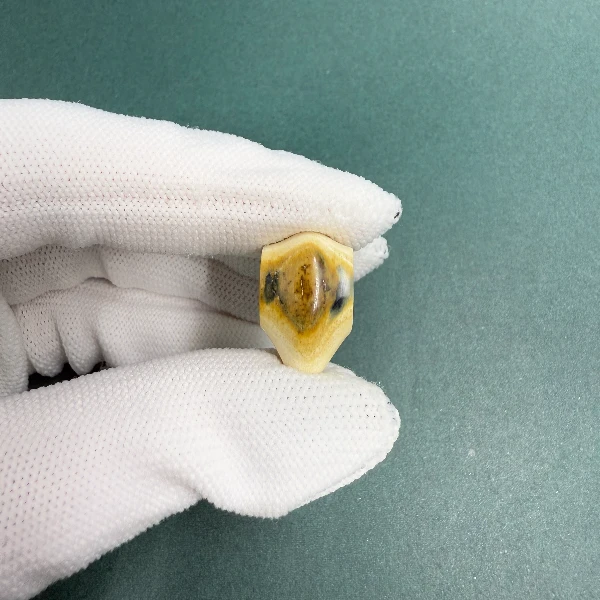 H5478天然猛犸牙 鲨鱼背三通 支持鉴定 假一罚四