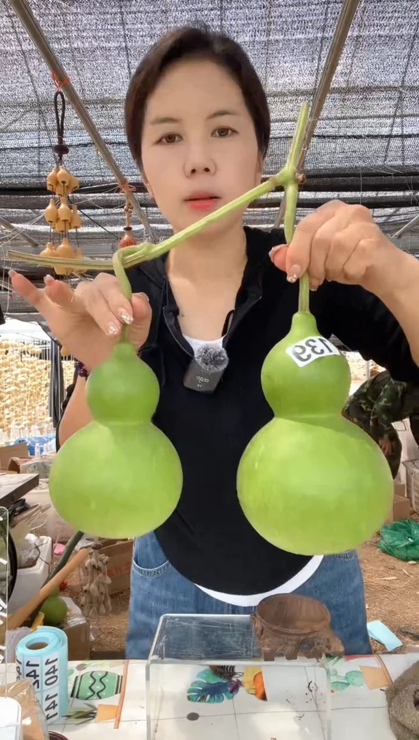 139天然葫芦摆件 一物一拍龙头不保售后