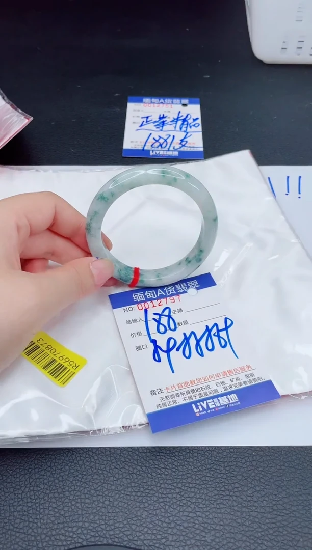 未镶嵌手镯翡翠我2
