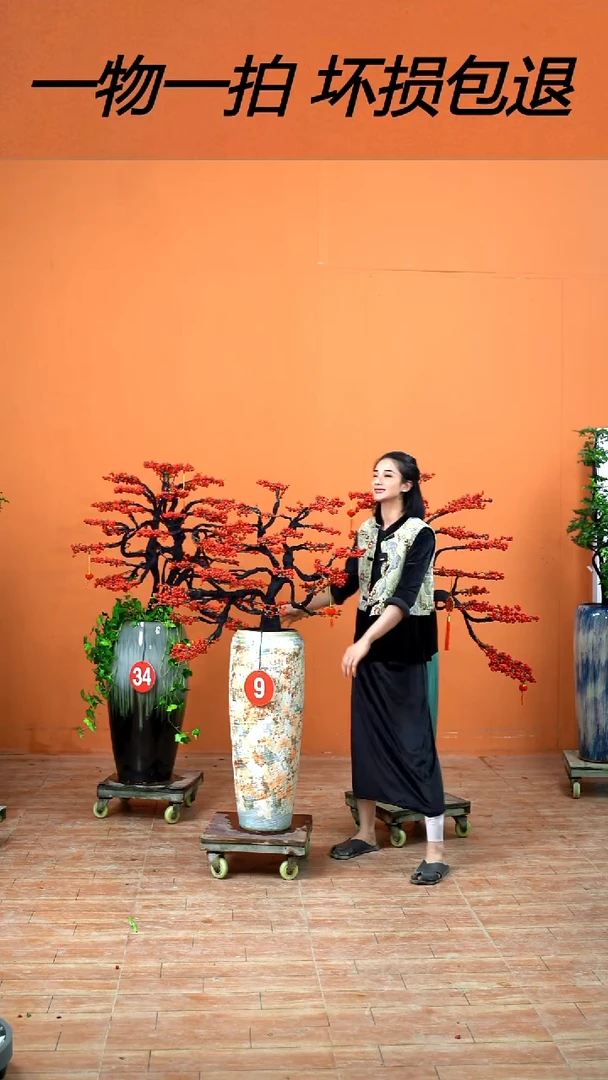 以实际为准@**@北美冬青