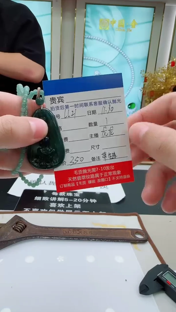 未镶嵌定制翡翠LL21翡翠吊坠赠珠链-多样性发其一