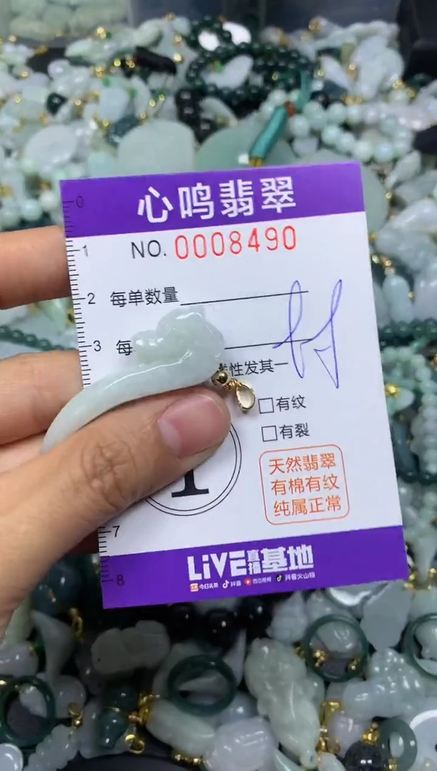 【闪购商品】翡翠颈饰未镶嵌闪购008490