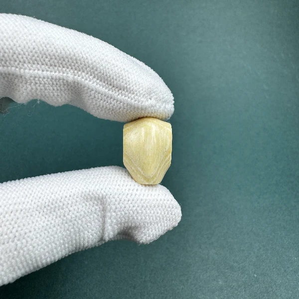 M1558天然猛犸牙玉龙6A三通 支持鉴定 假一罚四