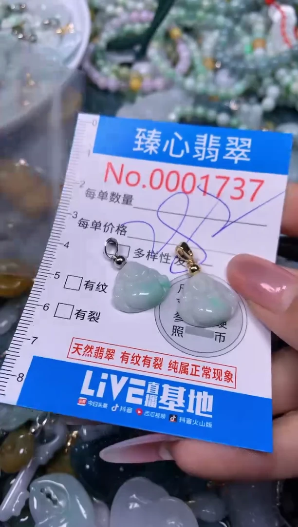【闪购商品】翡翠颈饰未镶嵌含绳0001737