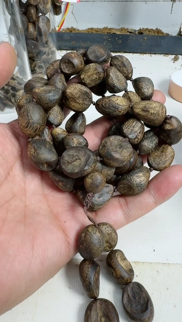 【闪购商品】沉香手串乌身树丁70克