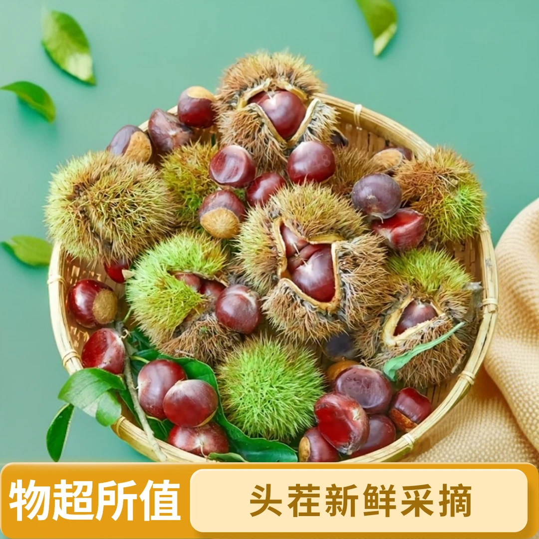 云南头茬高山新鲜嫩板栗现摘现发易剥外皮口感粉糯香甜