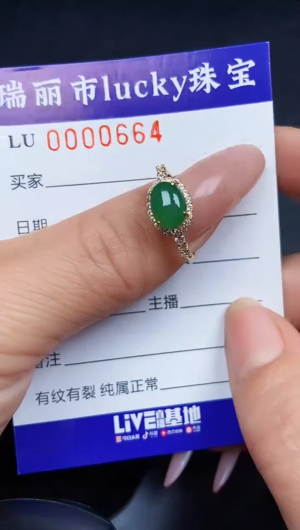 翡翠银S925镶嵌颈饰0664