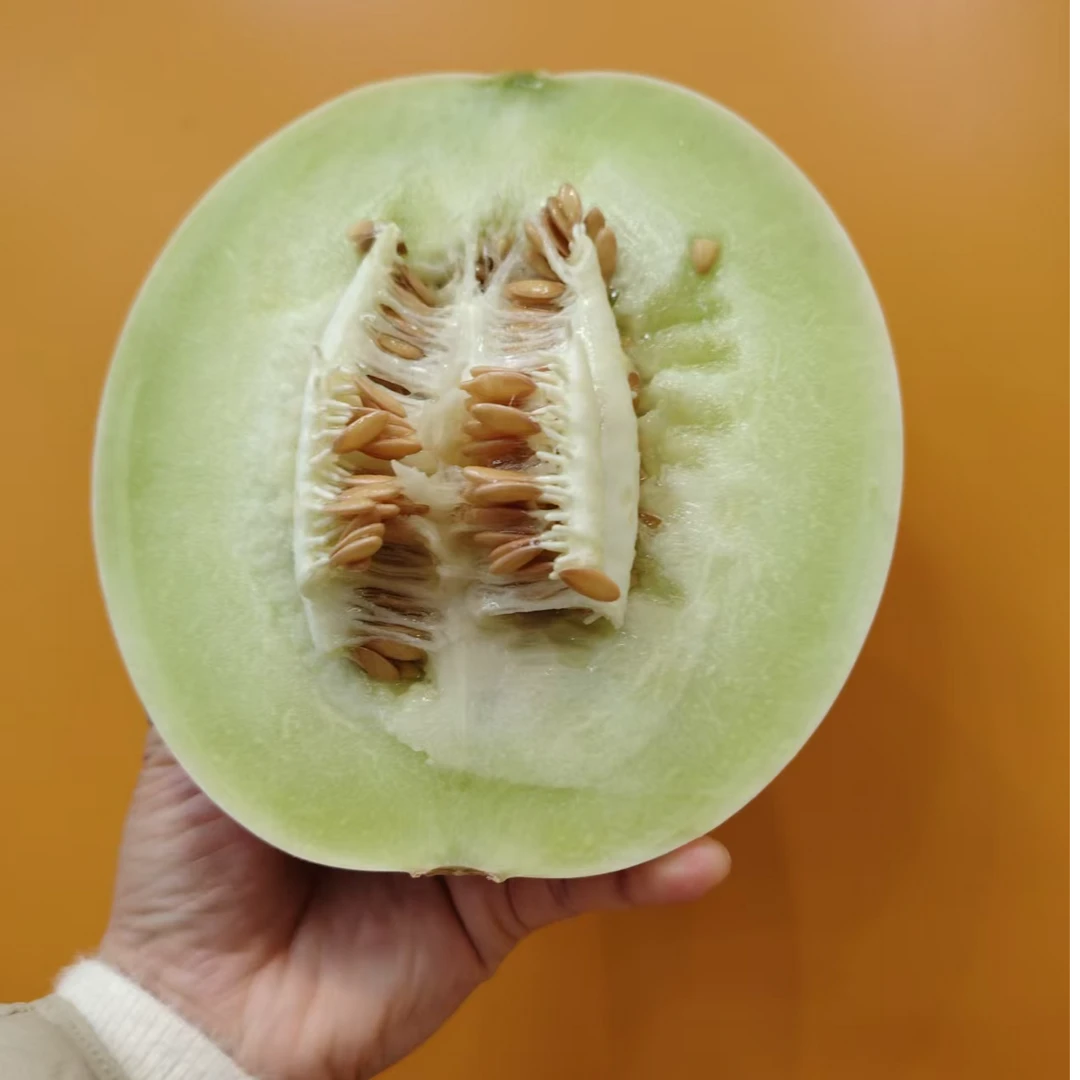 白雪蜜瓜1个 约3斤（洗切需备注）