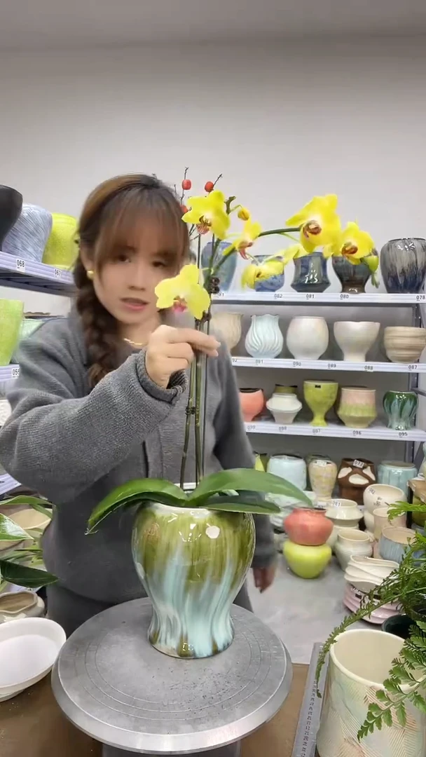 11.27陶瓷花盆直播链接高   20  口10