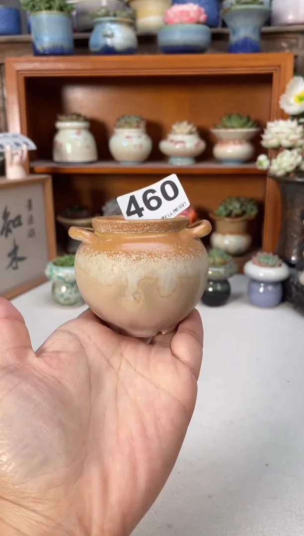 瓷片460小芳直播编号