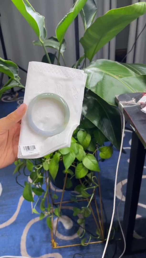 未镶嵌手镯翡翠6260