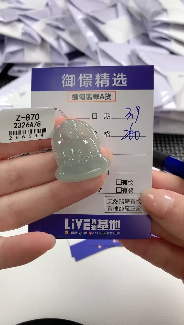 【闪购商品】翡翠颈饰未镶嵌4