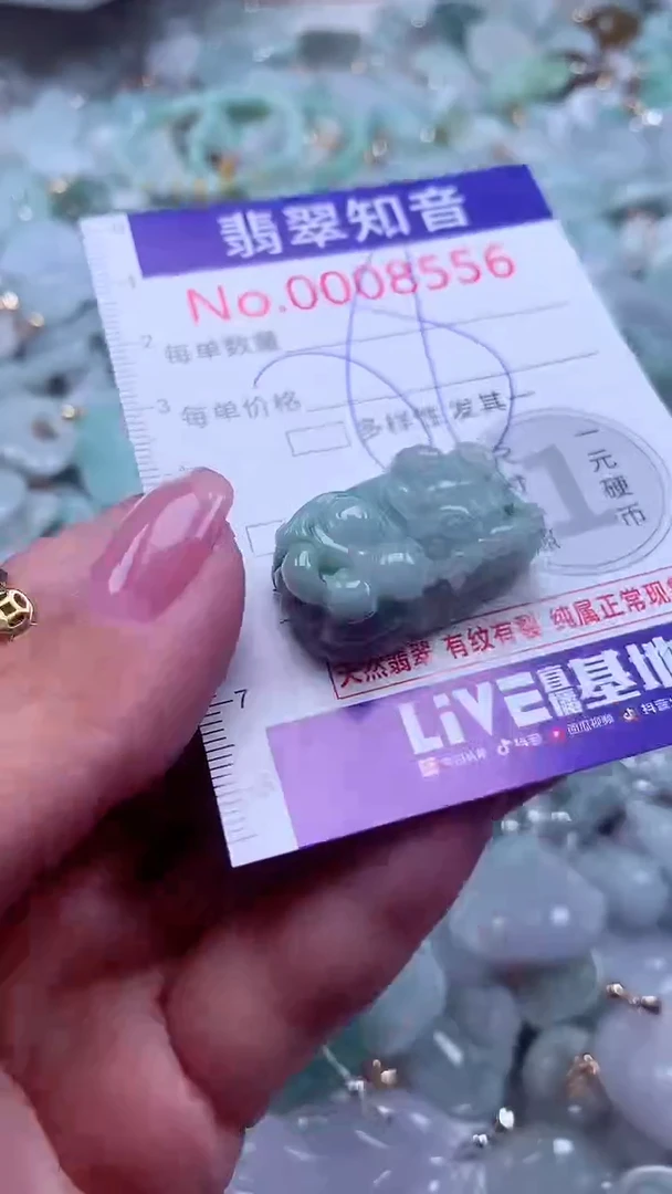 颈饰未镶嵌翡翠8556