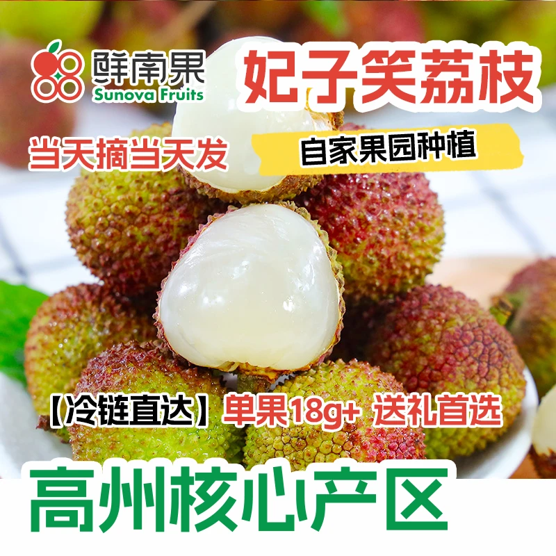 【妃子笑】高州18g+大果荔枝新鲜现采现摘冷链包邮当季水果礼盒茂名