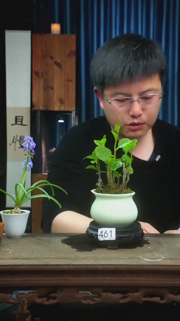 【闪购商品】苔藓微景观461号