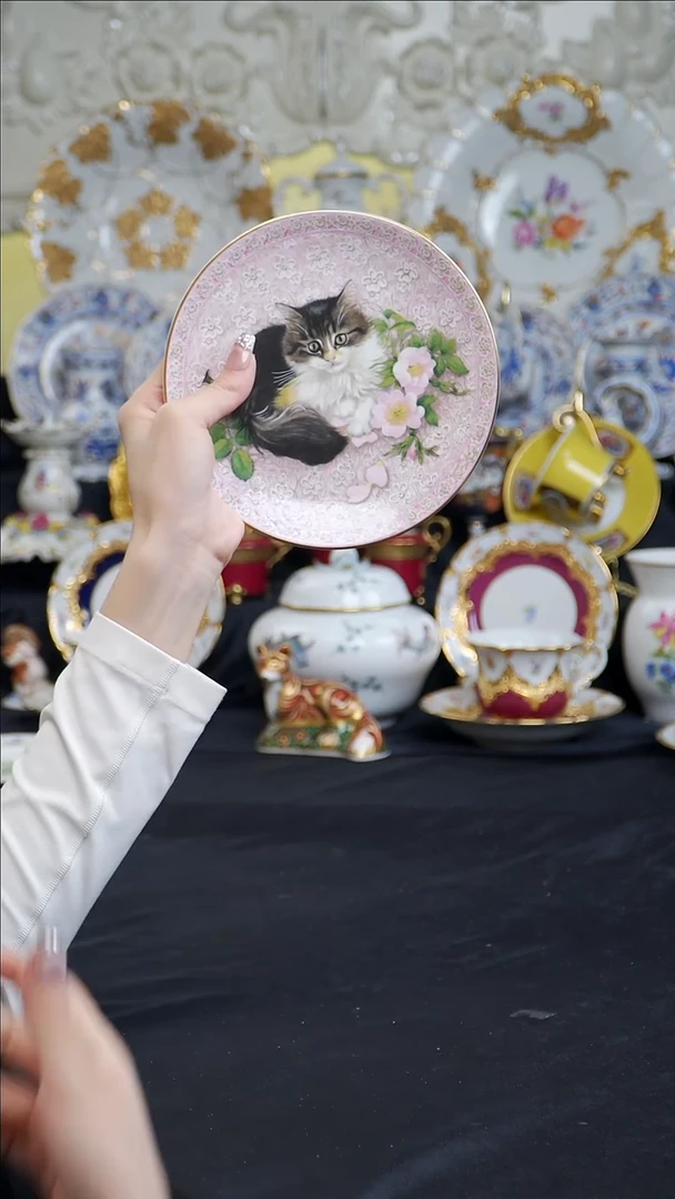 骨瓷婷婷中古器物如图所示46