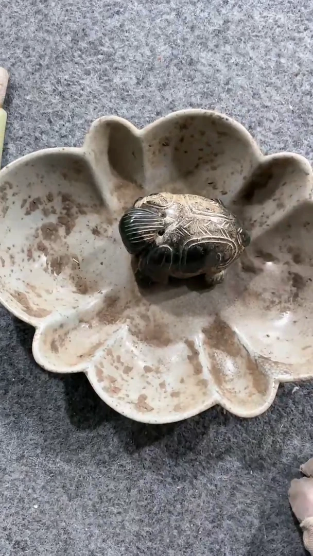 【闪购商品】手工，手绘，瓷器