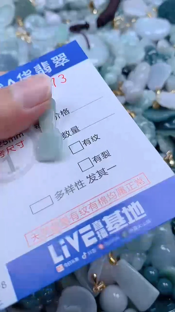 翡翠未镶嵌吊坠(不含链)1