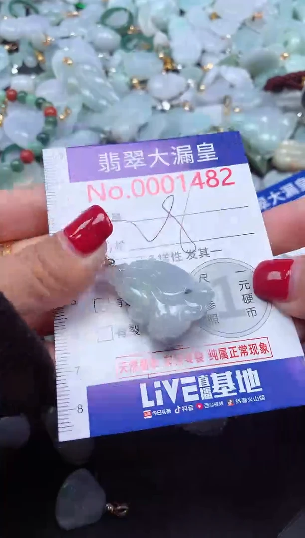 颈饰未镶嵌翡翠1482