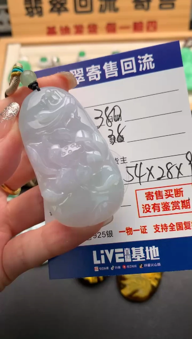 颈饰未镶嵌翡翠101457441