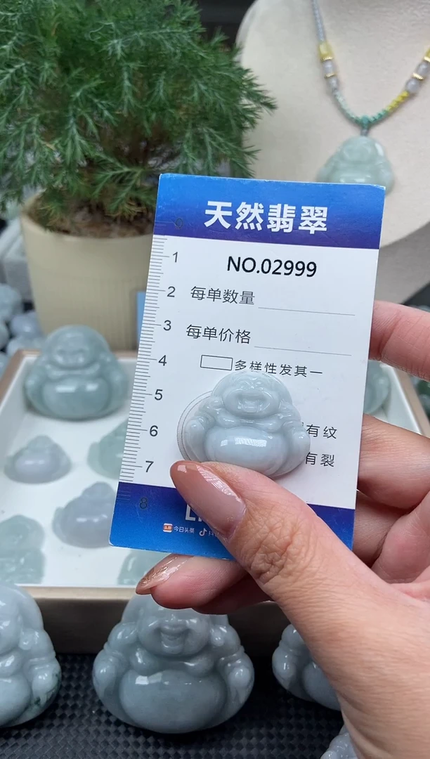 颈饰未镶嵌翡翠纯天然A货翡翠2999