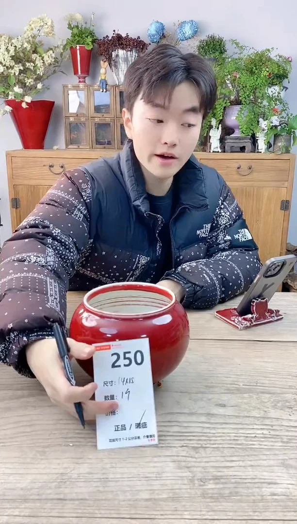 小玩子花盆直播号250