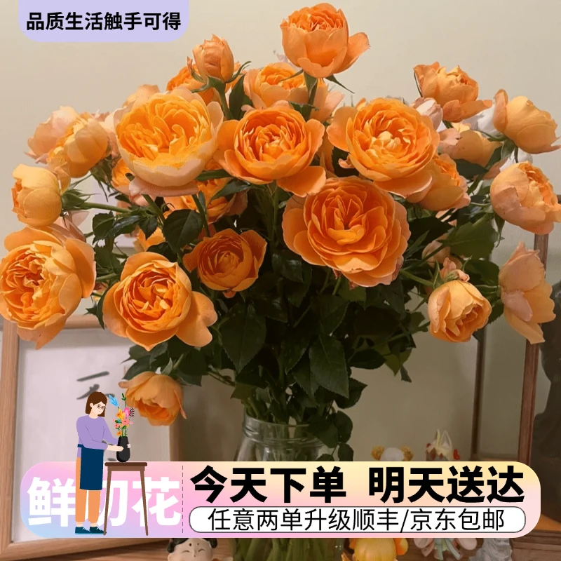 『果汁阳台多头玫瑰』今日下单明日送达 生活鲜切花同城批发直播